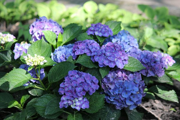 Réparation de fuite : plombier fiable à Woluwe Saint Pierre